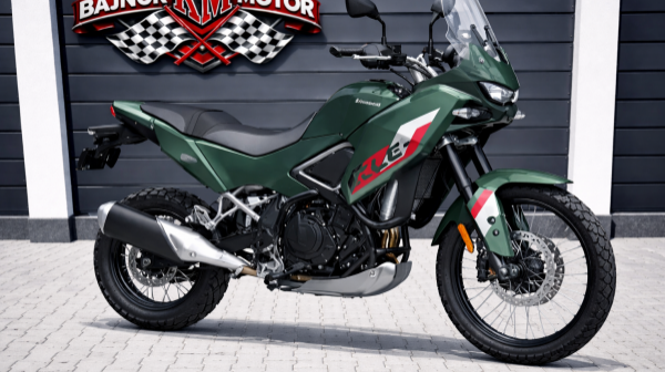 Kawasaki KLE500SE New