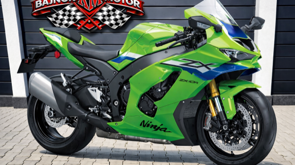 Kawasaki ZX10R Ninja NEW