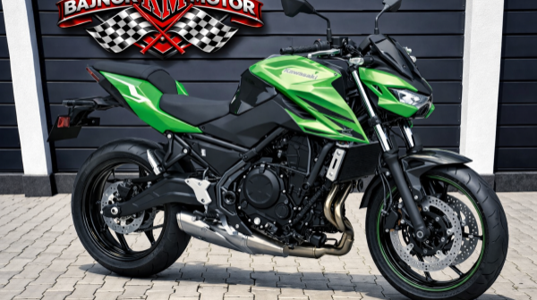 Kawasaki Z650S NEW!